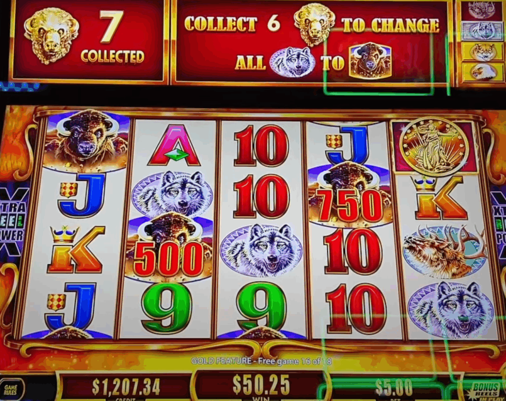 Buffalo Gold Cash Collection (2024) 